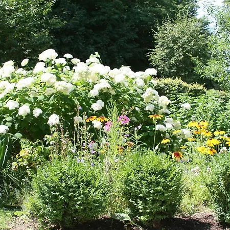 Daire Seeappartements Excelsior