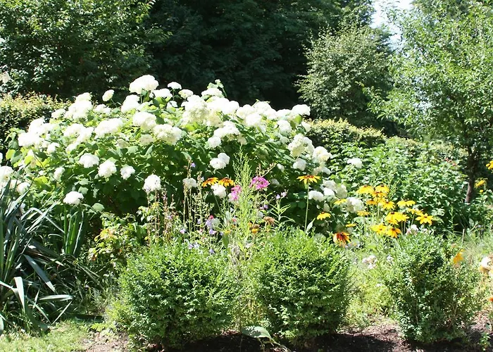 Apartament Seeappartements Excelsior